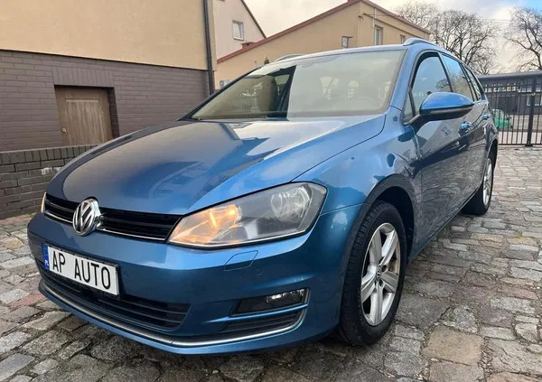 volkswagen Volkswagen Golf cena 36900 przebieg: 246000, rok produkcji 2014 z Dobra